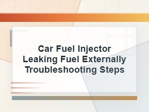 Car Fuel Injector Leaking Fuel Externally Troubleshooting