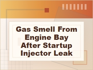 Gas Smell From Engine Bay After Startup: Injector Leak