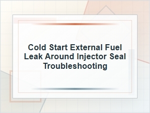 Troubleshooting Cold Start Fuel Leaks at Injector Seals