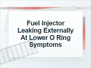 Symptoms of a Fuel Injector Leaking at the Lower O-Ring