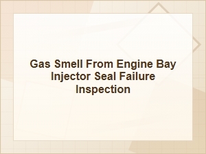 Gas Smell From Engine Bay? Check for Injector Seal Failure