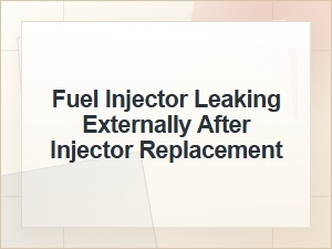Fuel Injector Leaking Externally After Replacement
